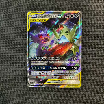 PTCG Chinese Sun&Moon CSM2c-160 SR Mega Sableye&Tyranitar GX